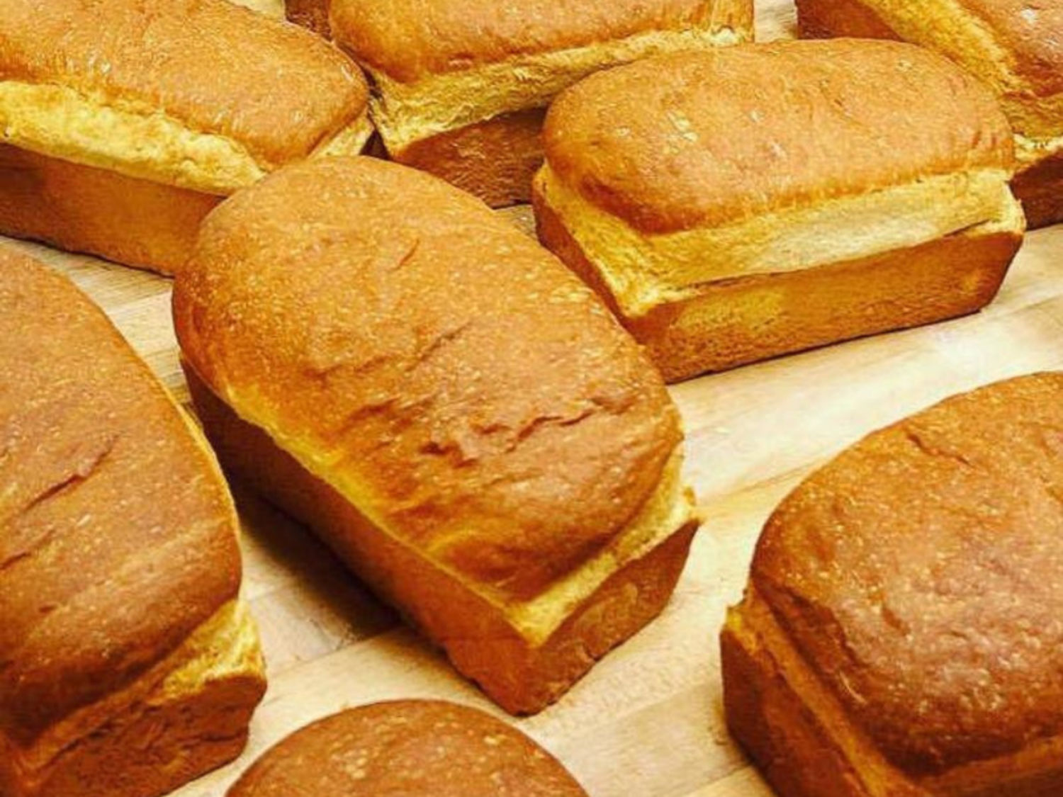 Brioche Sandwich Bun
