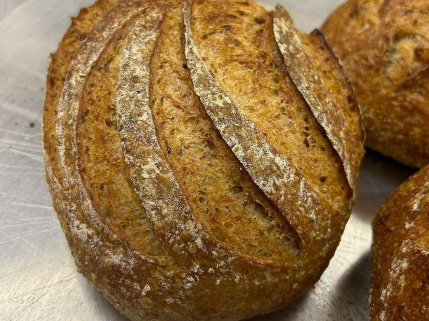 Rough Cracked Rye